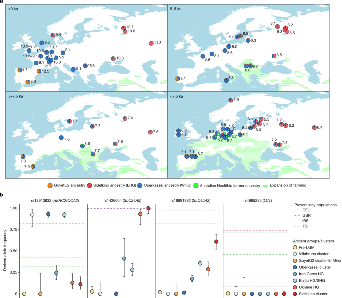 Maps and ancestry models showing the spread of Oberkassel and Sidelkino hunter-gatherer ancestry